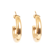 1046-0213 Steel Clean Collection Earring Gold