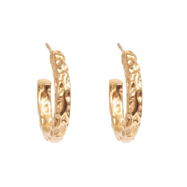 1046-0231 Pure Steel Raw Earring Gold