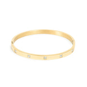 3046-0113 Pure Steel Bangle Gold