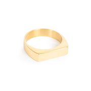 4046-0099 Pure Steel Flat Ring Gold