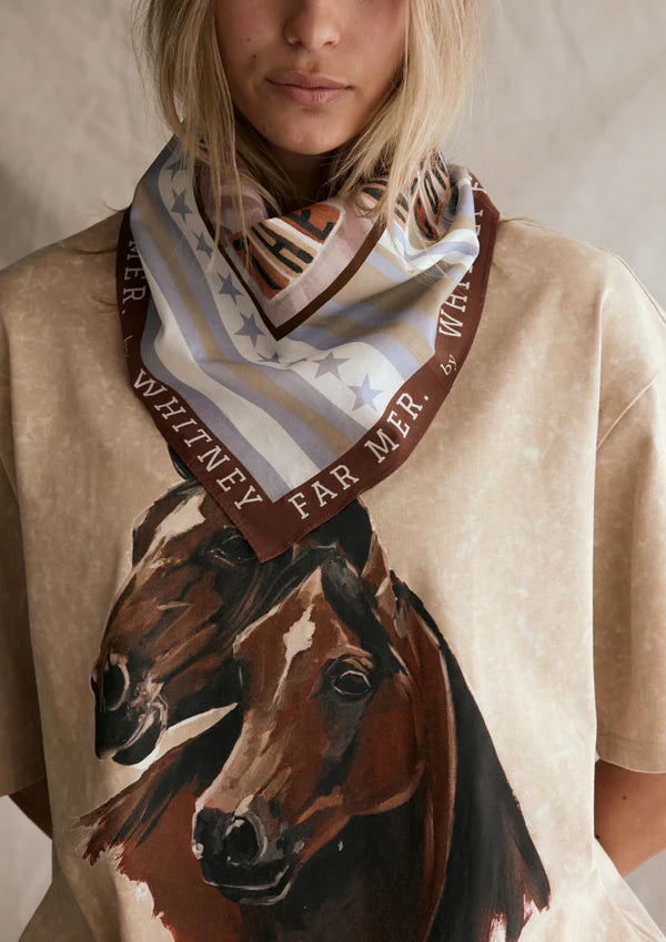 Far Mer Silk Scarf Stars and Stripes