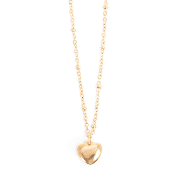2046-0243 Pure Steel 14K Gold Heart Necklace